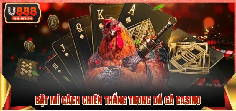 Bật mí cách chiến thắng trong đá gà casino