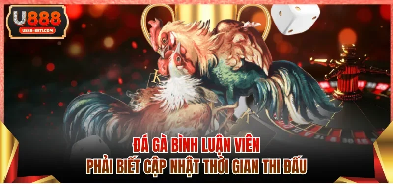 Đá gà bình luận viên phải biết cập nhật thời gian thi đấu