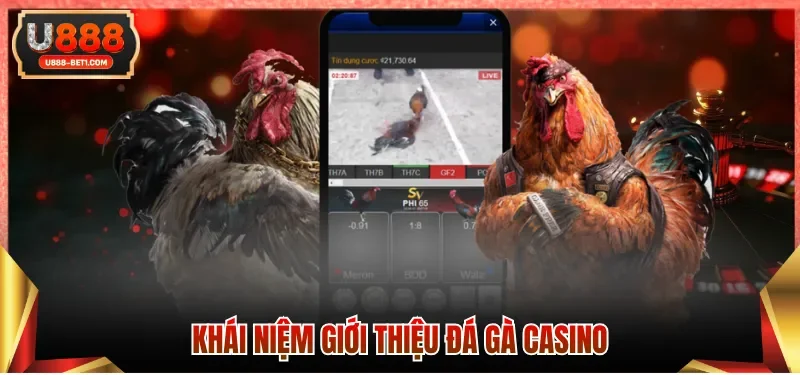 Khái niệm giới thiệu đá gà casino