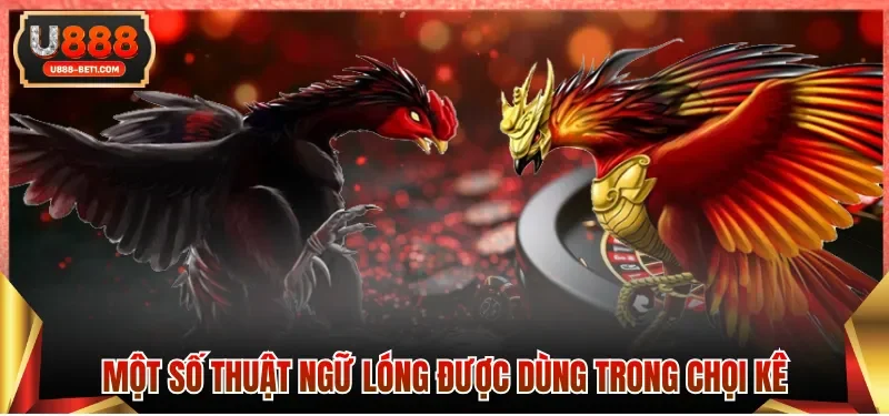 Thuật ngữ đá gà về giống nòi thi đấu