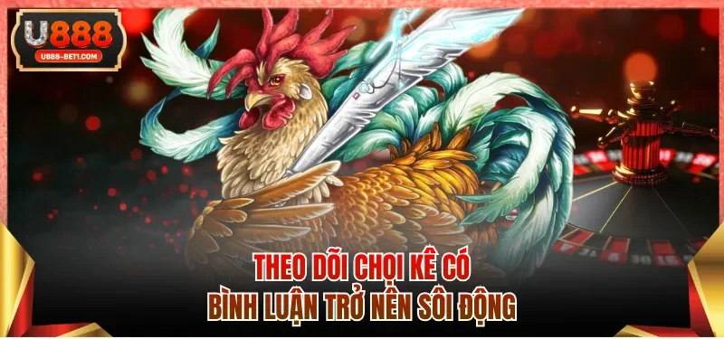 Theo dõi chọi kê có bình luận trở nên sôi động
